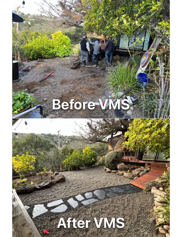 Expert lawn care service in Redwood City, CA - VMS Landscape Design