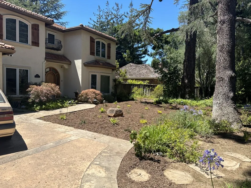 Top-rated yard maintenance near you across Redwood City, CA - VMS Landscape Design