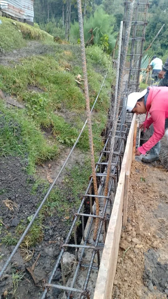 Custom lawn care service in Perris, CA by VMV Tree Removal