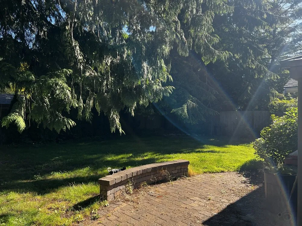 Custom landscaping services in Seattle, WA - VN landscaping