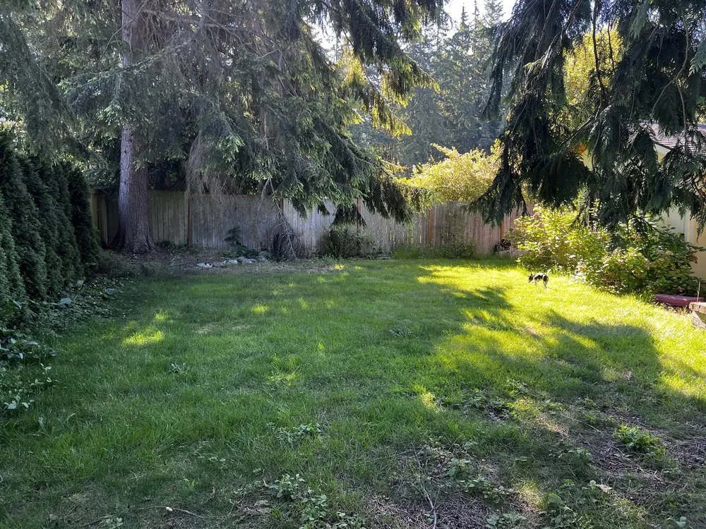 Top-rated yard maintenance for homes in Seattle, WA by VN landscaping