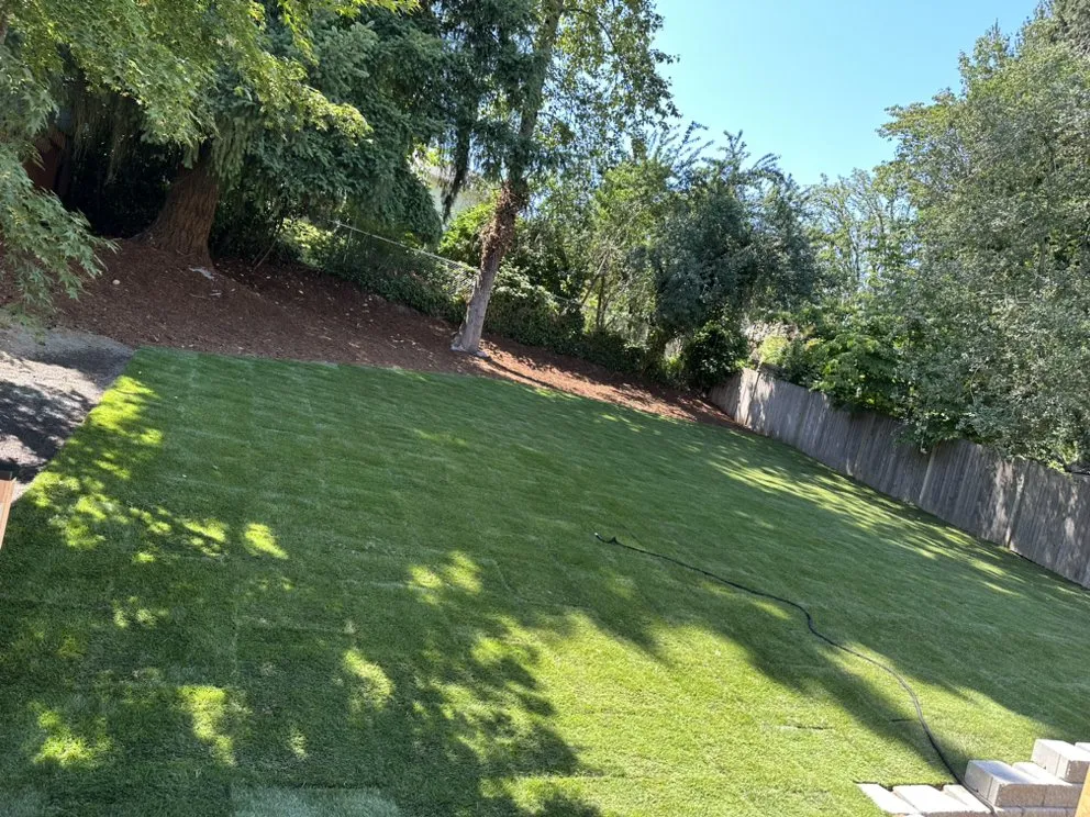 Custom lawn mowing service in Seattle, WA by VN landscaping