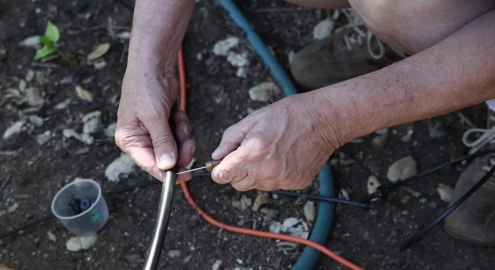 Top-rated lawn care service for beautiful yards across Midvale, UT - VN Sprinklers System