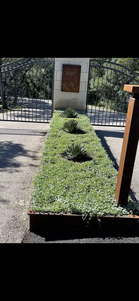 Reliable landscape installation for year-round maintenance across Austin, TX - Vnovascape