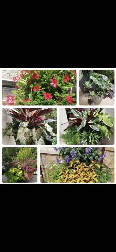 Professional landscape design with custom design in Austin, TX by Vnovascape