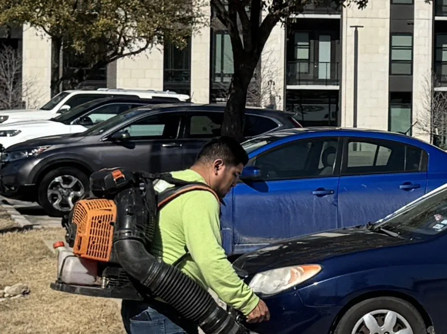 Local lawn care service in Austin, TX by Vnovascape