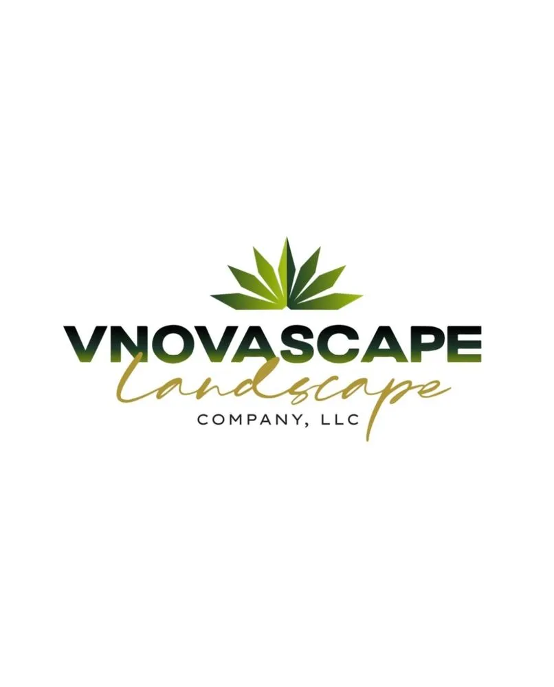 Custom yard cleanup service for beautiful yards in Austin, TX by Vnovascape
