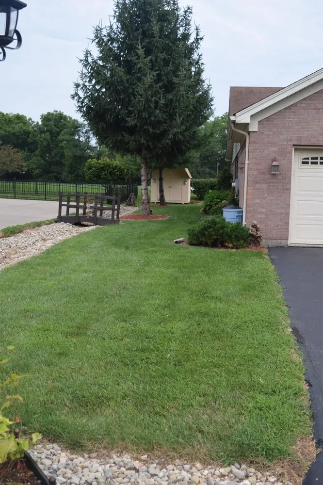 Expert yard cleanup service experts serving Cincinnati, OH - VNR Lawn Service & Maintenance