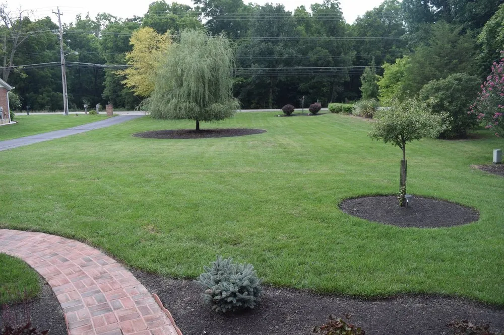 Local lawn care service in Cincinnati, OH by VNR Lawn Service & Maintenance
