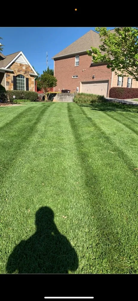 Reliable lawn mowing service for homes across Sweetwater, TN - Vol Lawn Teer Mowing