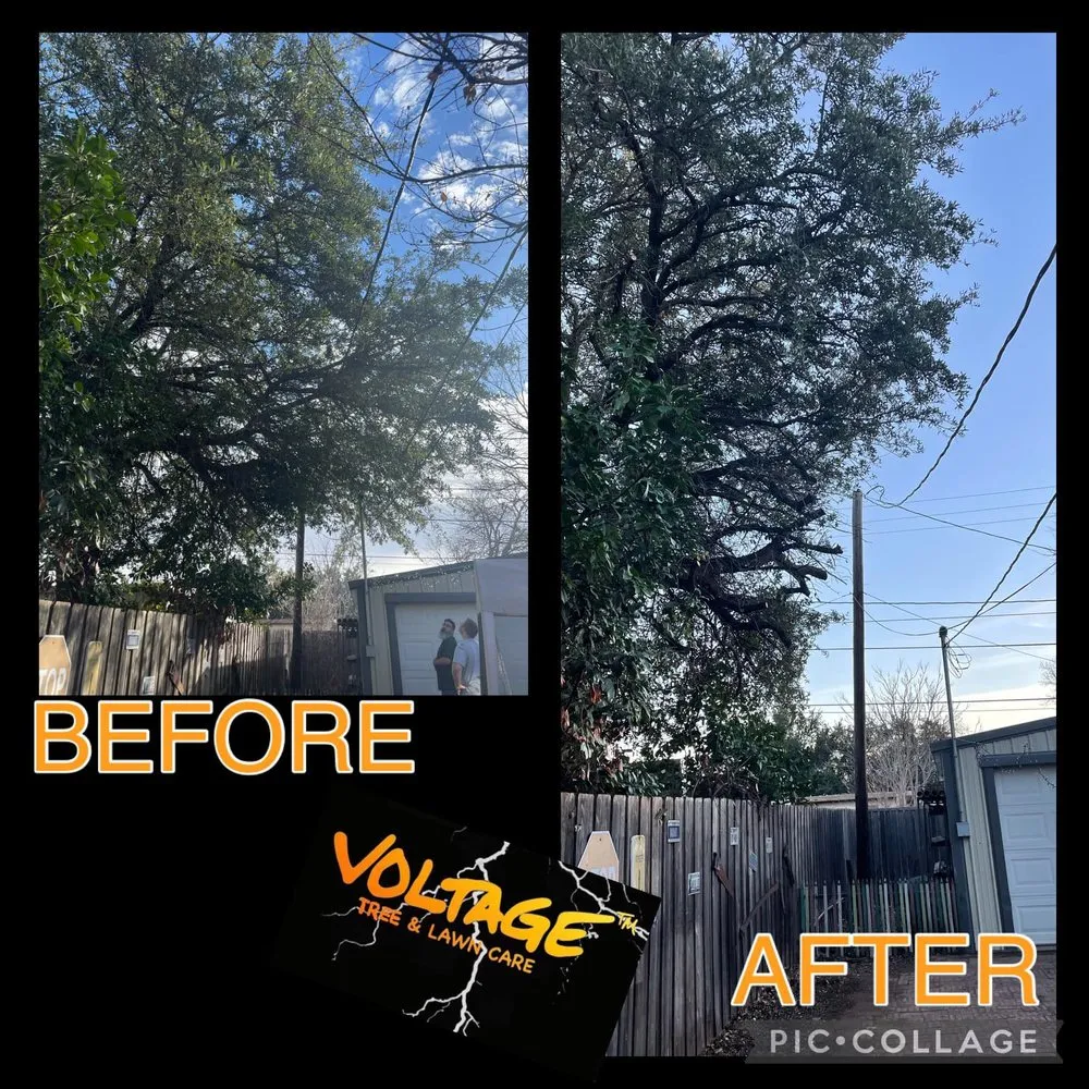 Trusted yard cleanup service in Wichita Falls, TX by Voltage Tree & Lawn