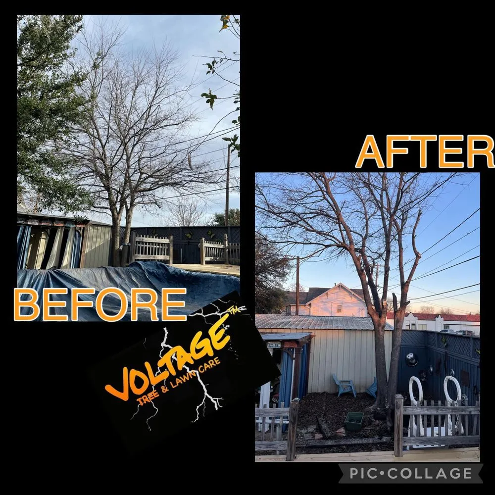 Reliable residential landscaping in Wichita Falls, TX by Voltage Tree & Lawn