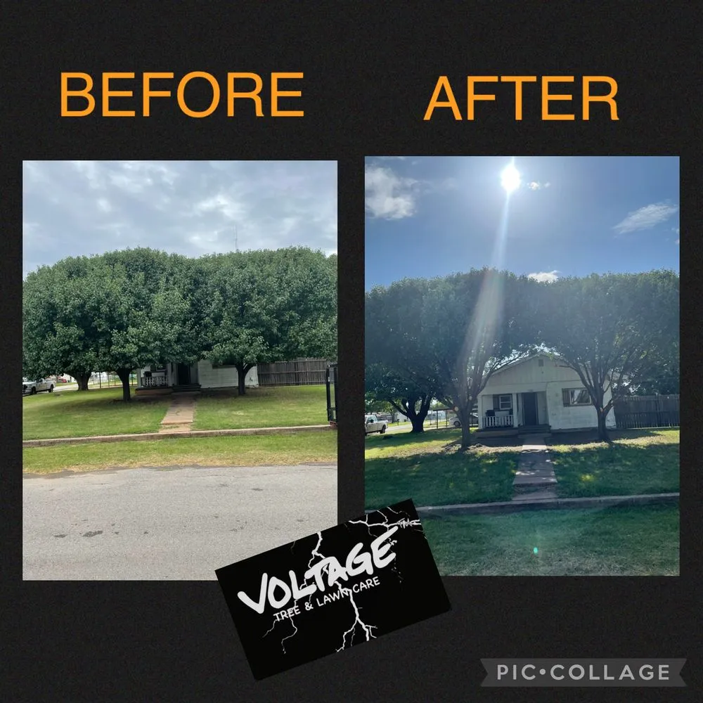 Top-rated yard maintenance experts serving Wichita Falls, TX - Voltage Tree & Lawn
