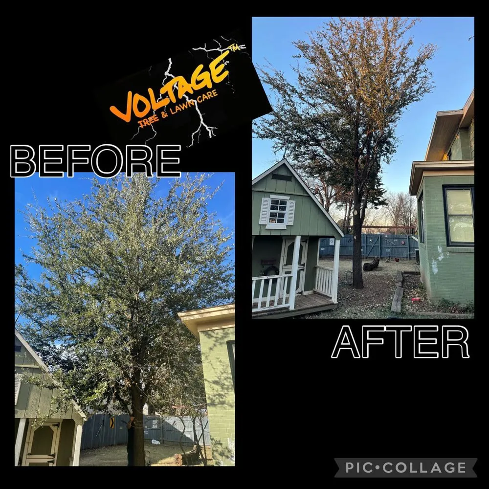 Custom garden landscaping in Wichita Falls, TX by Voltage Tree & Lawn