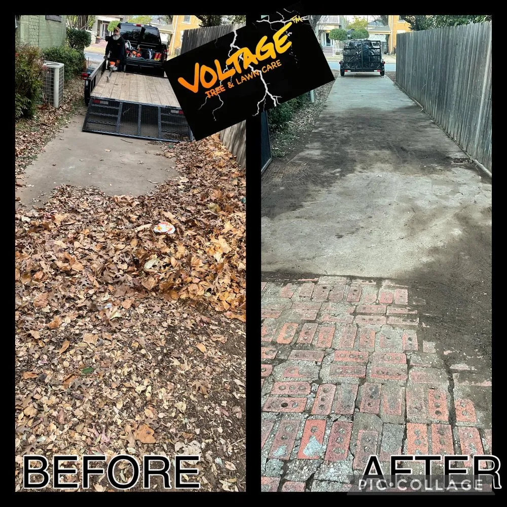 Reliable landscaping services in Wichita Falls, TX - Voltage Tree & Lawn