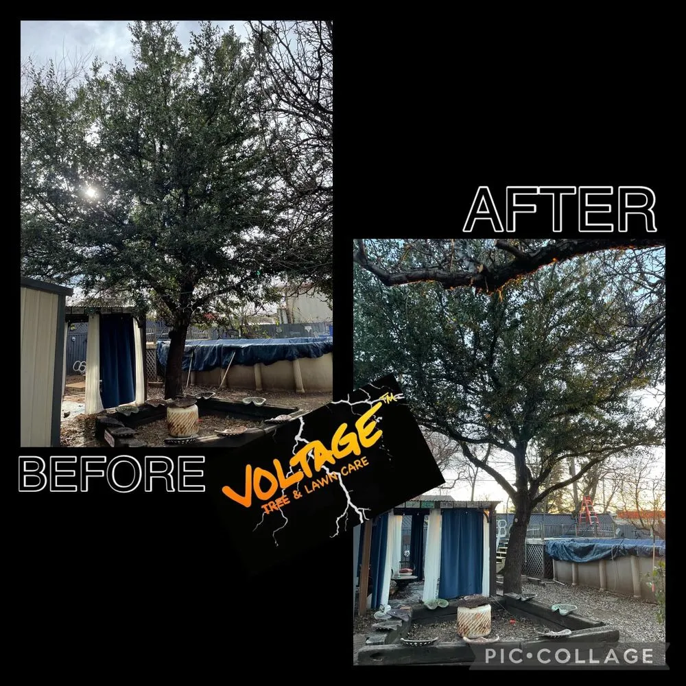 Custom landscape installation in Wichita Falls, TX by Voltage Tree & Lawn
