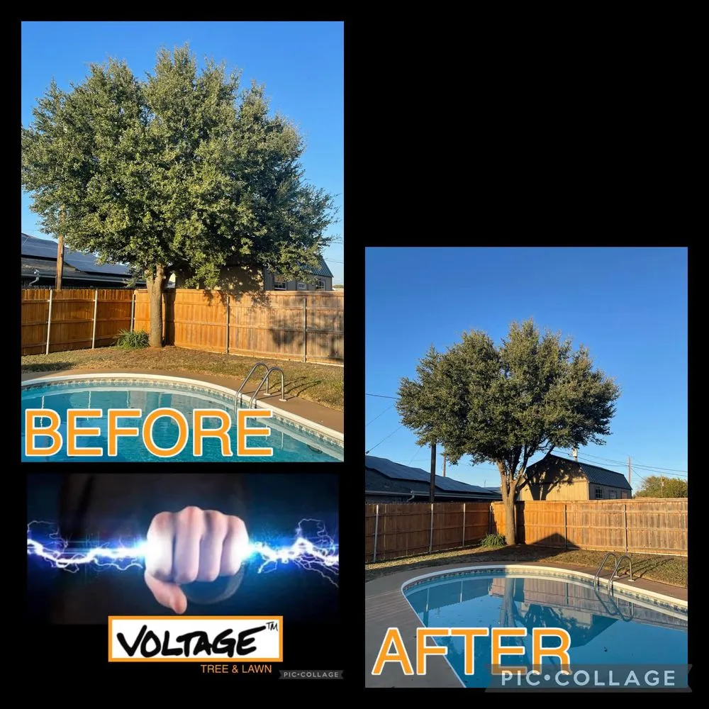 Professional landscape installation in Wichita Falls, TX - Voltage Tree & Lawn