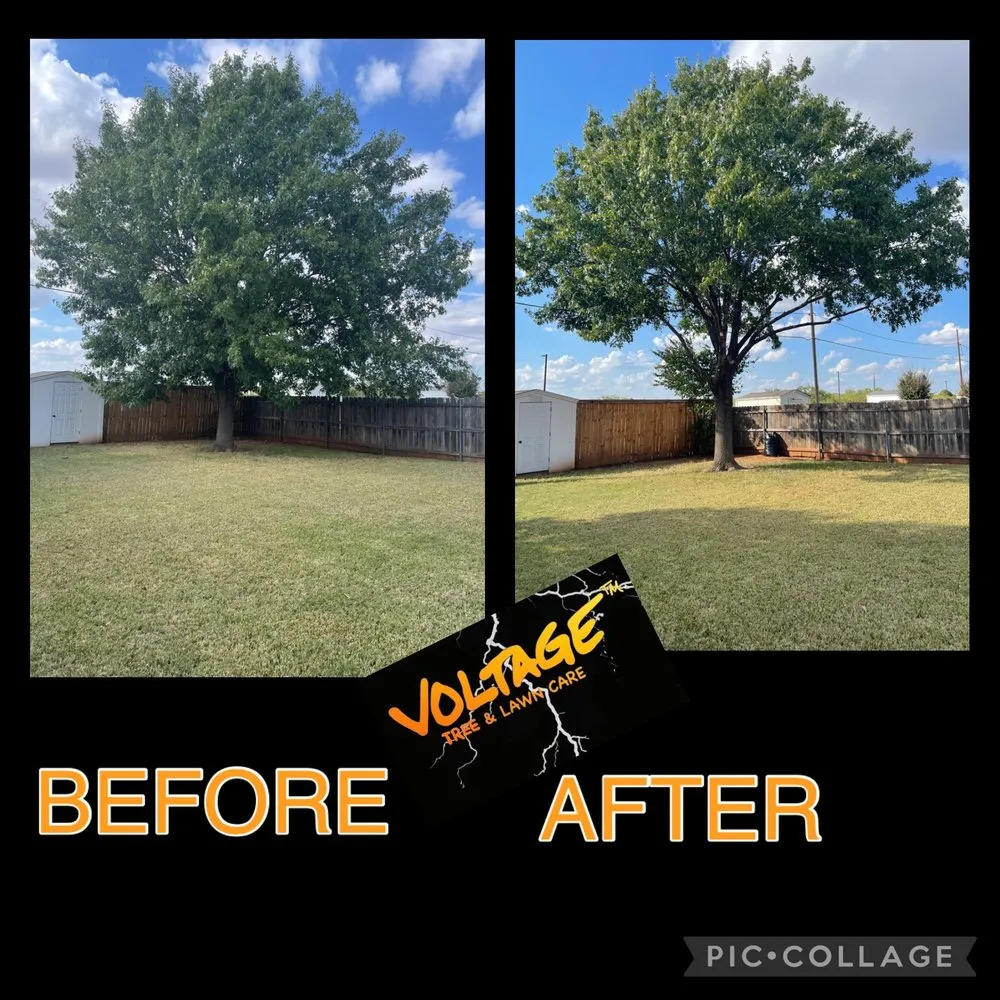 Affordable landscape installation in Wichita Falls, TX - Voltage Tree & Lawn