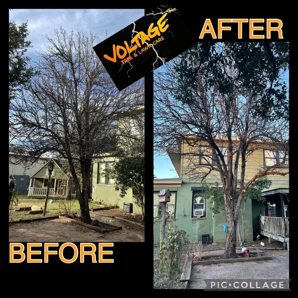 Top-rated landscape design in Wichita Falls, TX by Voltage Tree & Lawn