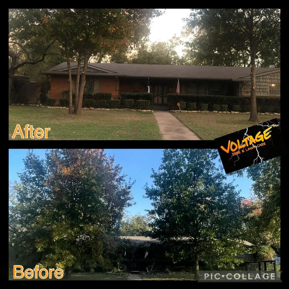 Trusted landscape design in Wichita Falls, TX - Voltage Tree & Lawn