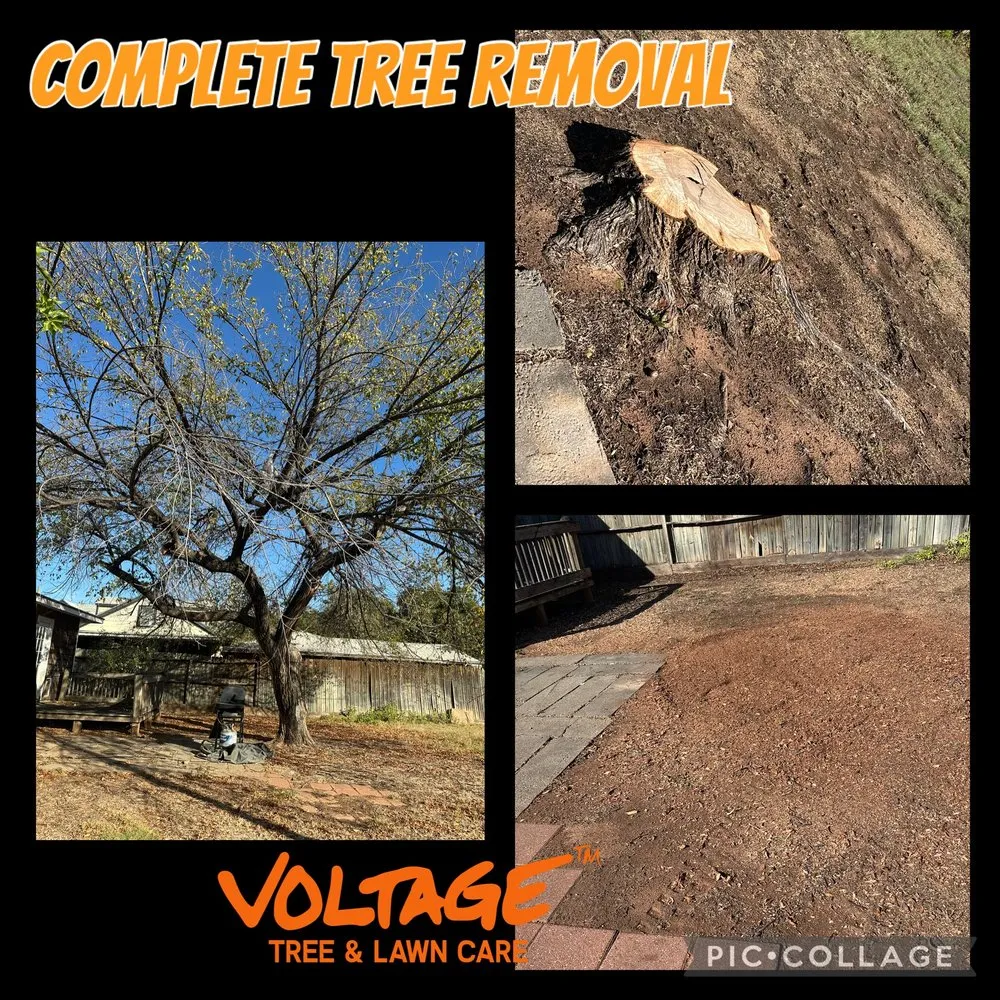 Custom garden landscaping for outdoor upgrades across Wichita Falls, TX - Voltage Tree & Lawn