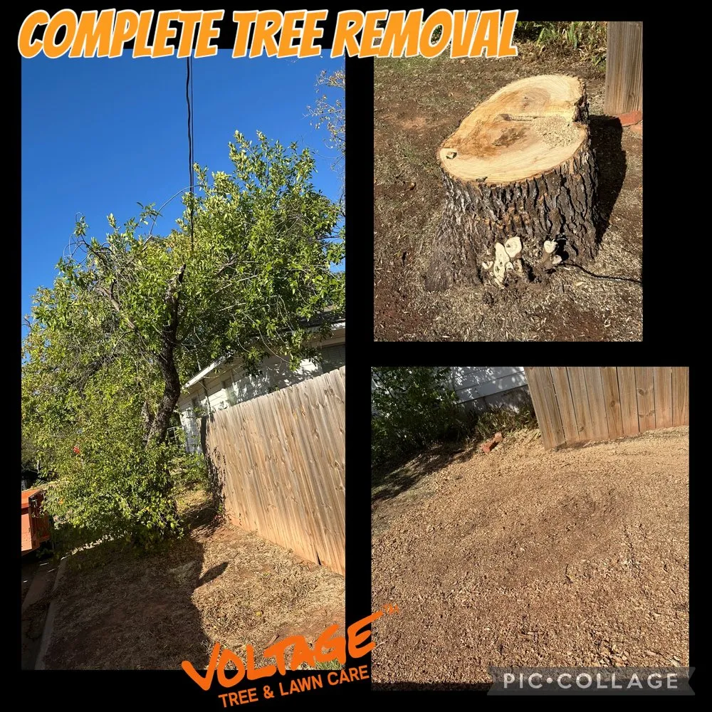 Local garden landscaping experts serving Wichita Falls, TX - Voltage Tree & Lawn