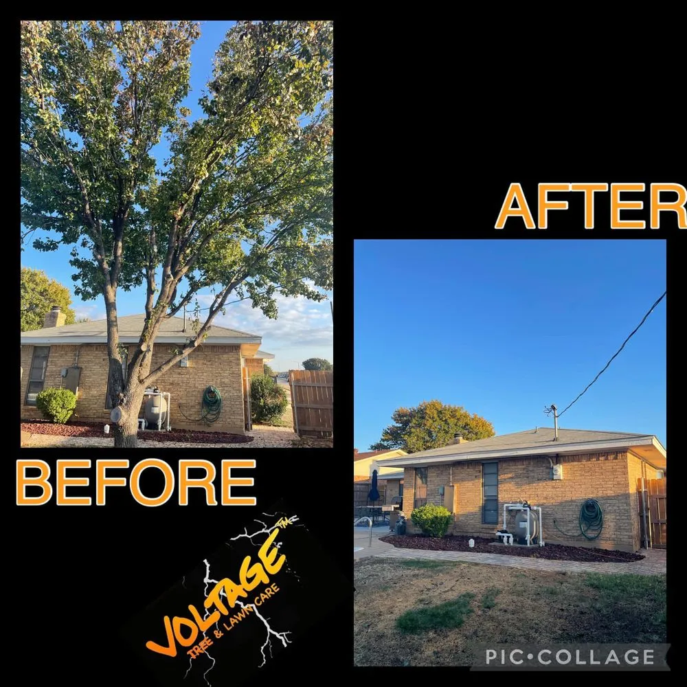 Top-rated yard maintenance for outdoor upgrades across Wichita Falls, TX - Voltage Tree & Lawn
