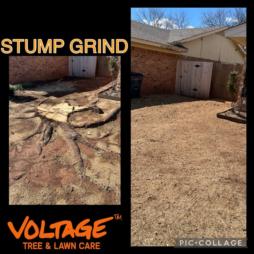 Affordable garden landscaping in Wichita Falls, TX by Voltage Tree & Lawn