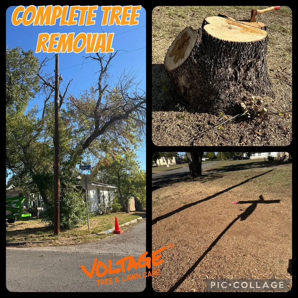 Local outdoor landscaping for beautiful yards in Wichita Falls, TX by Voltage Tree & Lawn