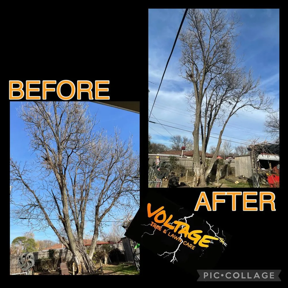 Custom lawn mowing service for year-round maintenance in Wichita Falls, TX by Voltage Tree & Lawn