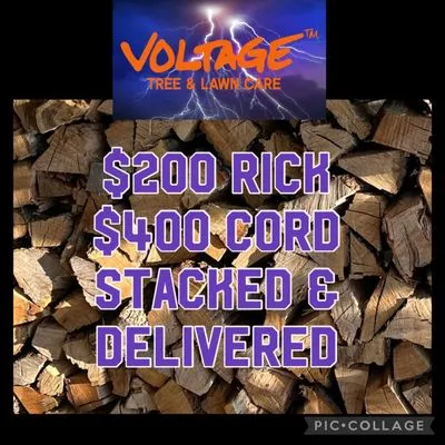 Voltage Tree & Lawn Logo