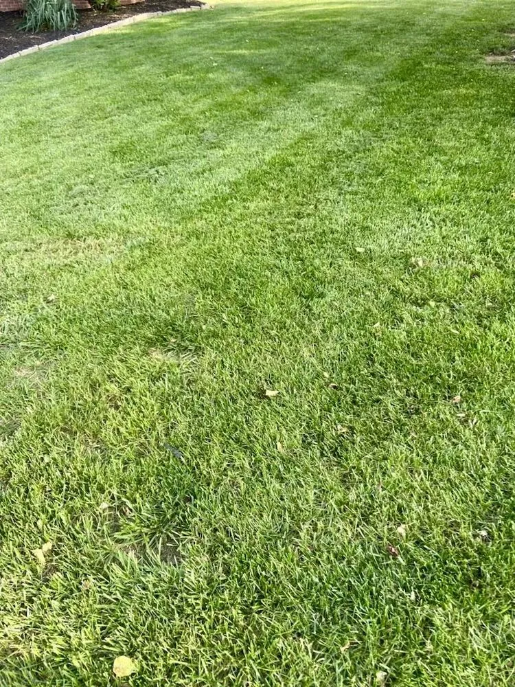 Local landscape design in Maryville, TN - Volunteer Landscaping