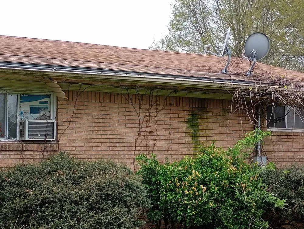 Reliable yard cleanup service in Gadsden, TN by Volunteer Lawn Care