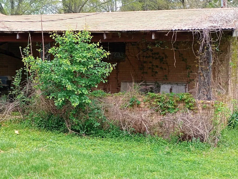 Professional yard maintenance for residential properties across Gadsden, TN - Volunteer Lawn Care