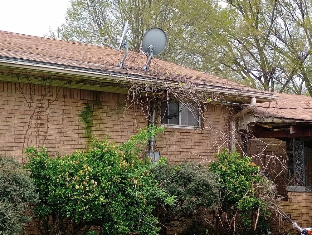 Expert landscape installation in Gadsden, TN - Volunteer Lawn Care