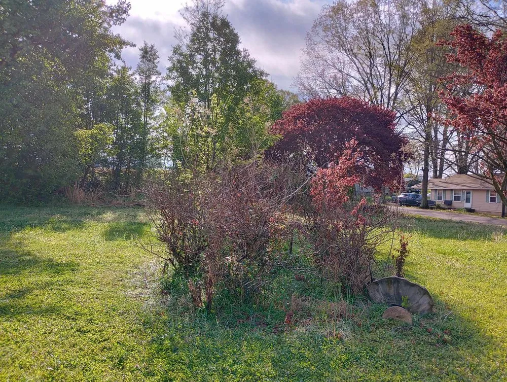 Top-rated landscape installation experts serving Gadsden, TN - Volunteer Lawn Care