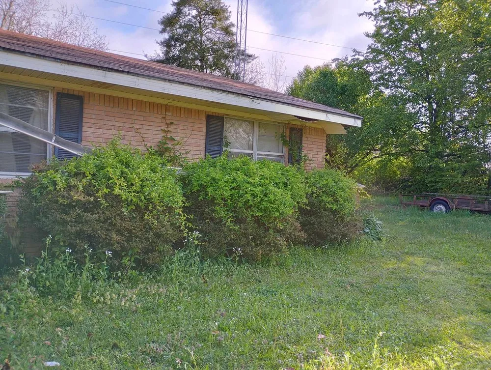 Trusted residential landscaping for beautiful yards across Gadsden, TN - Volunteer Lawn Care