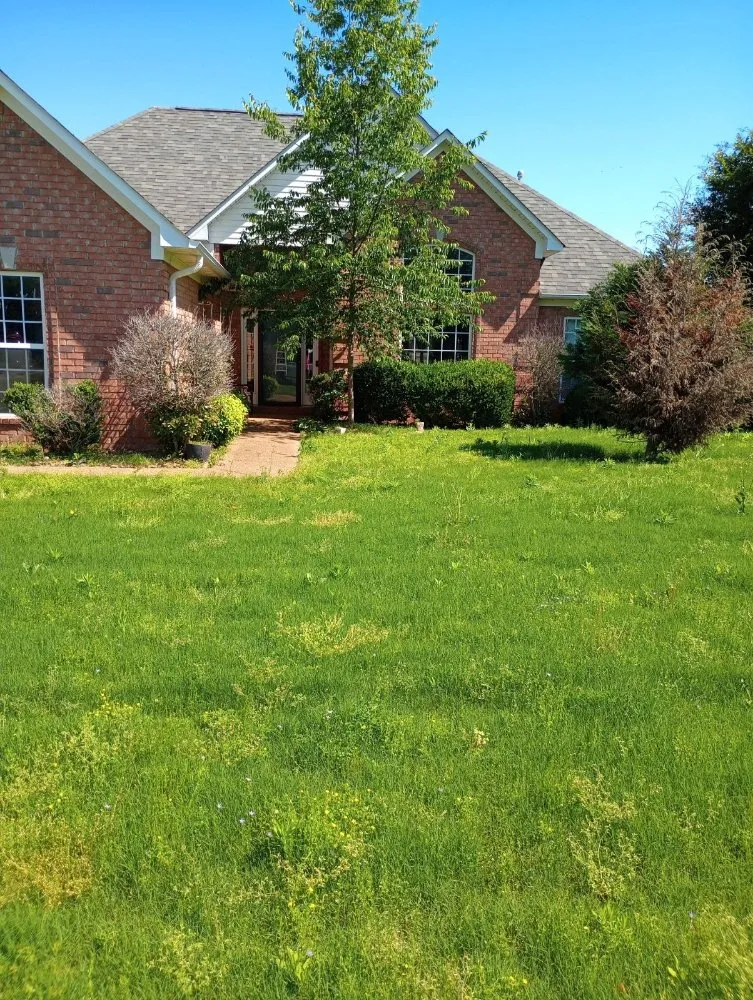 Affordable landscape installation for beautiful yards across Gadsden, TN - Volunteer Lawn Care