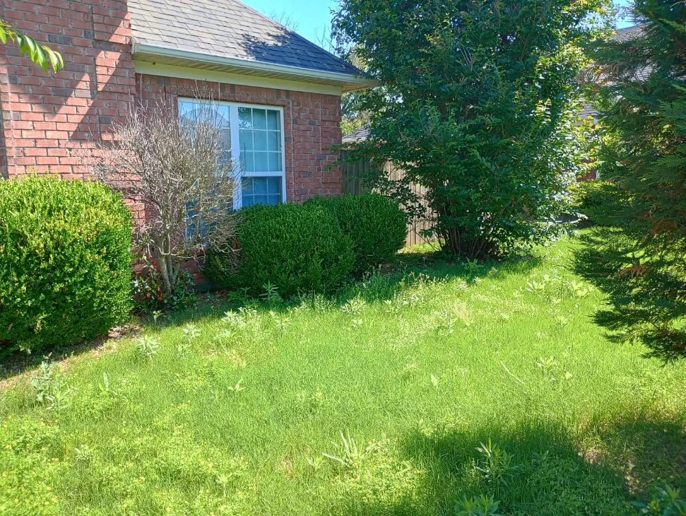 Affordable lawn care service experts serving Gadsden, TN - Volunteer Lawn Care