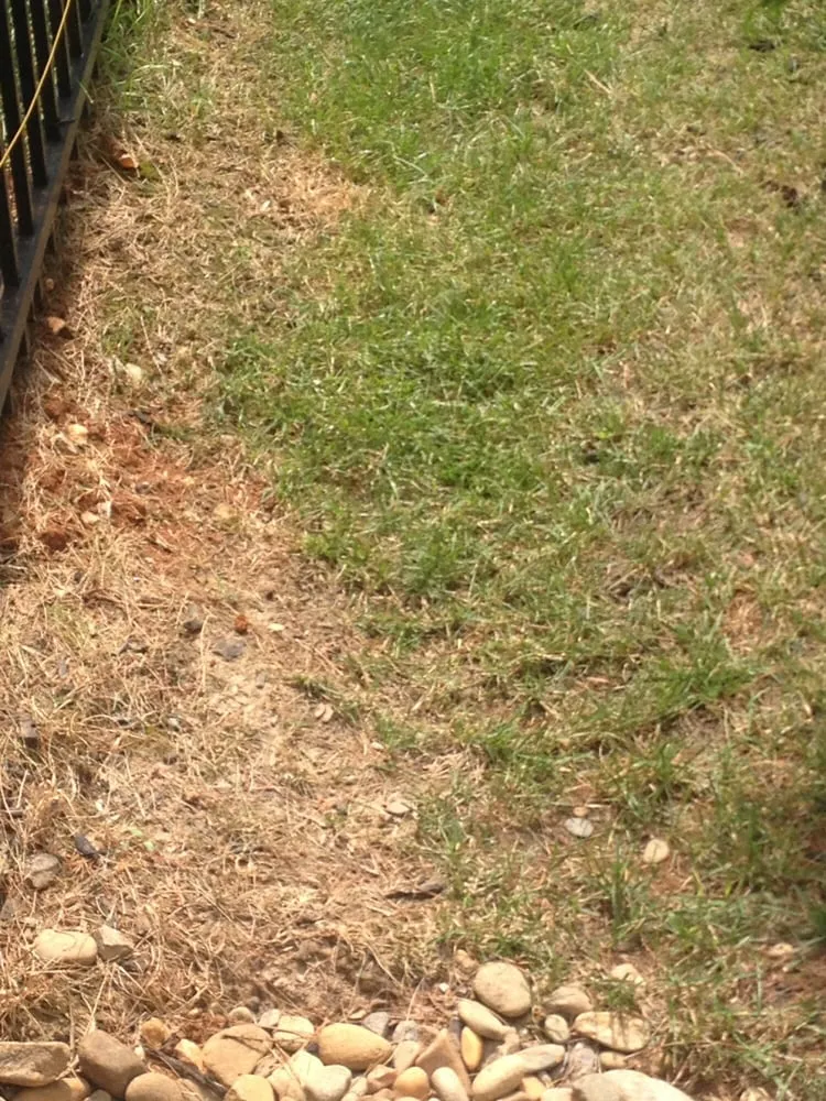 Professional residential landscaping in Knoxville, TN by Volunteer Lawn Care