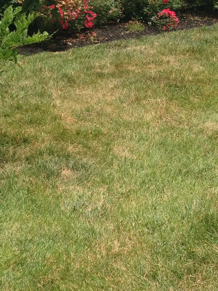 Professional residential landscaping in Knoxville, TN by Volunteer Lawn Care
