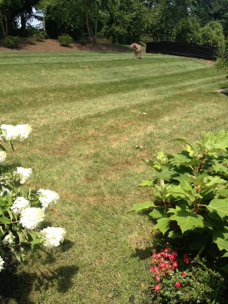 Reliable residential landscaping in Knoxville, TN by Volunteer Lawn Care