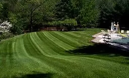 Professional yard cleanup service in Knoxville, TN - Volunteer Lawn Care