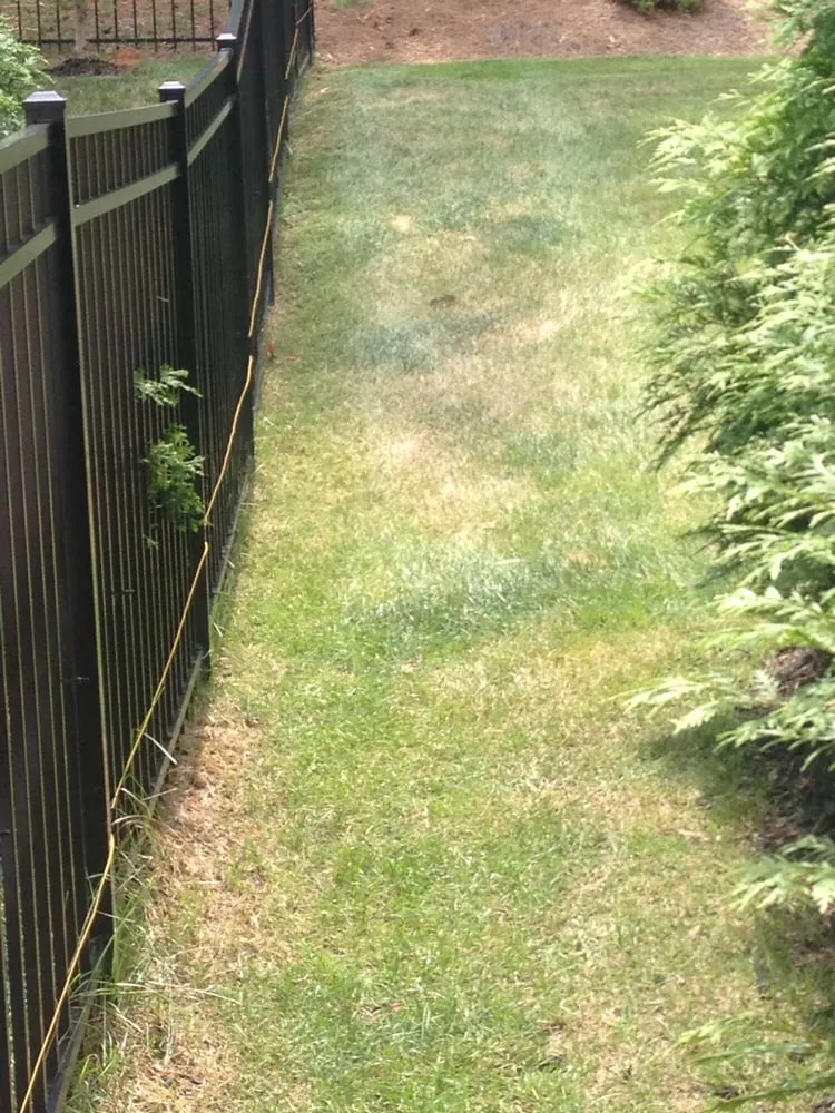 Reliable residential landscaping in Knoxville, TN - Volunteer Lawn Care