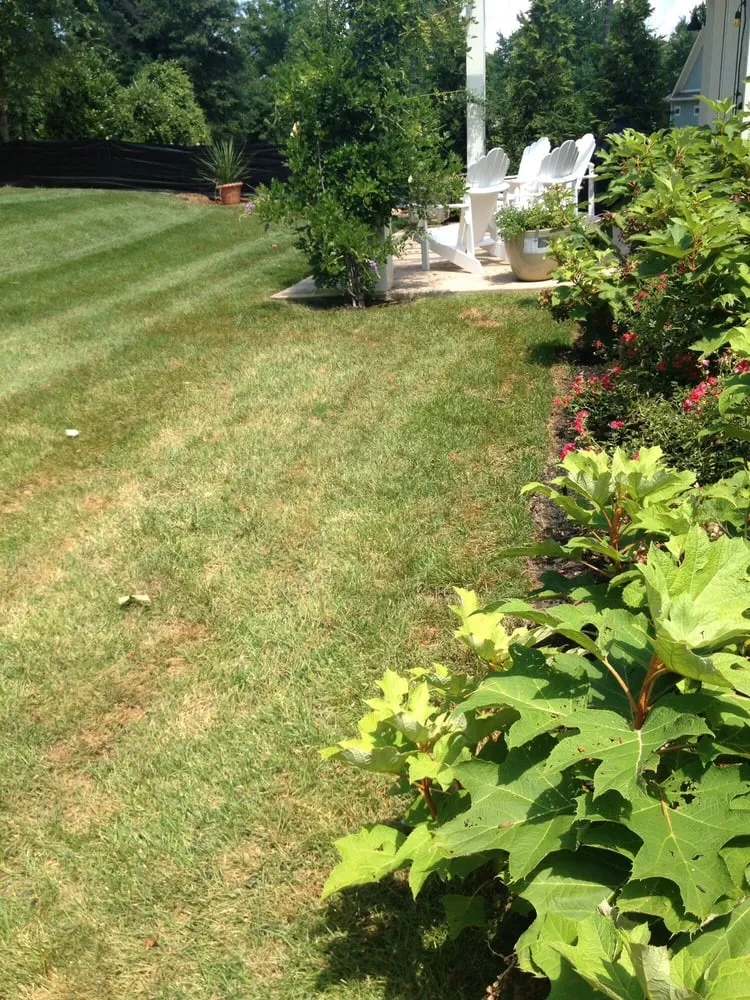 Expert residential landscaping in Knoxville, TN - Volunteer Lawn Care