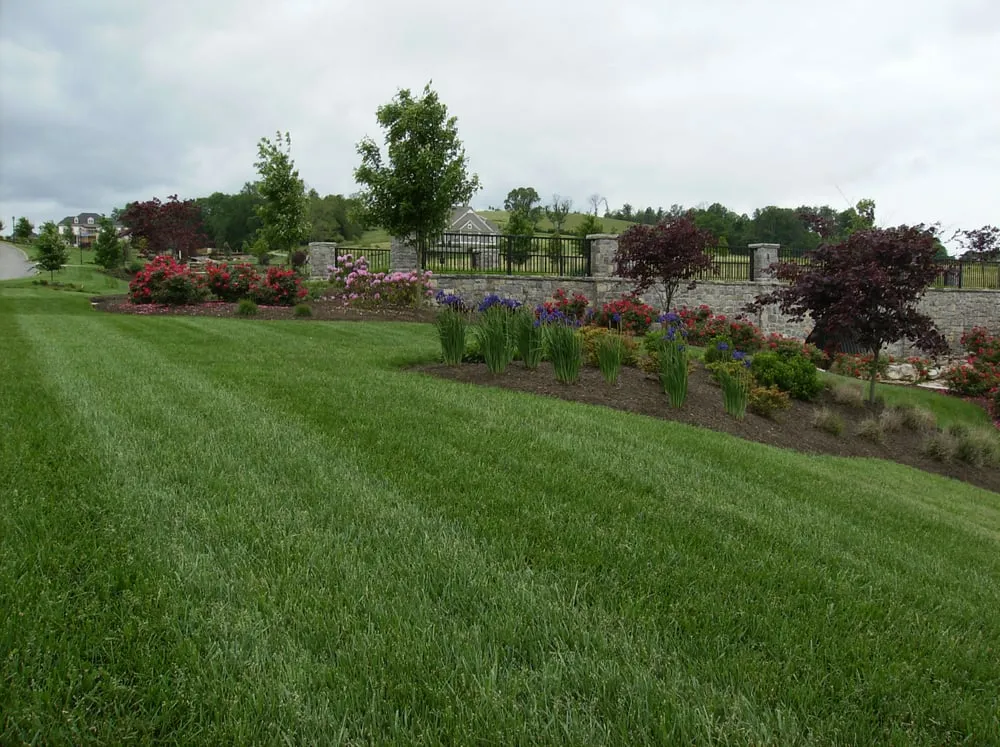 Expert landscape design experts serving Knoxville, TN - Volunteer Lawn Care