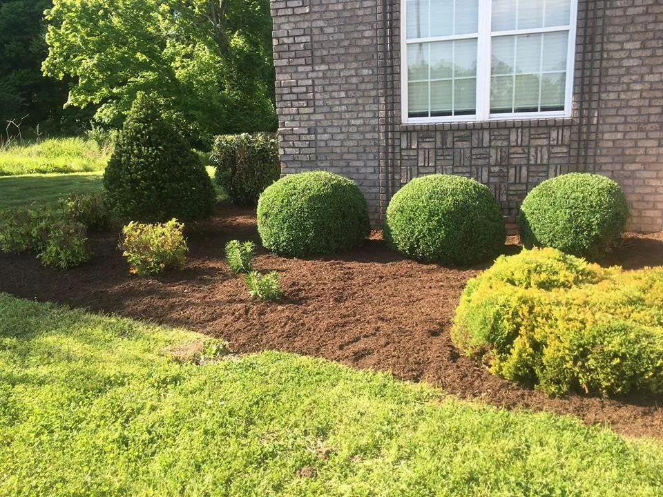 Affordable yard maintenance in White House, TN by Volunteer Lawncare