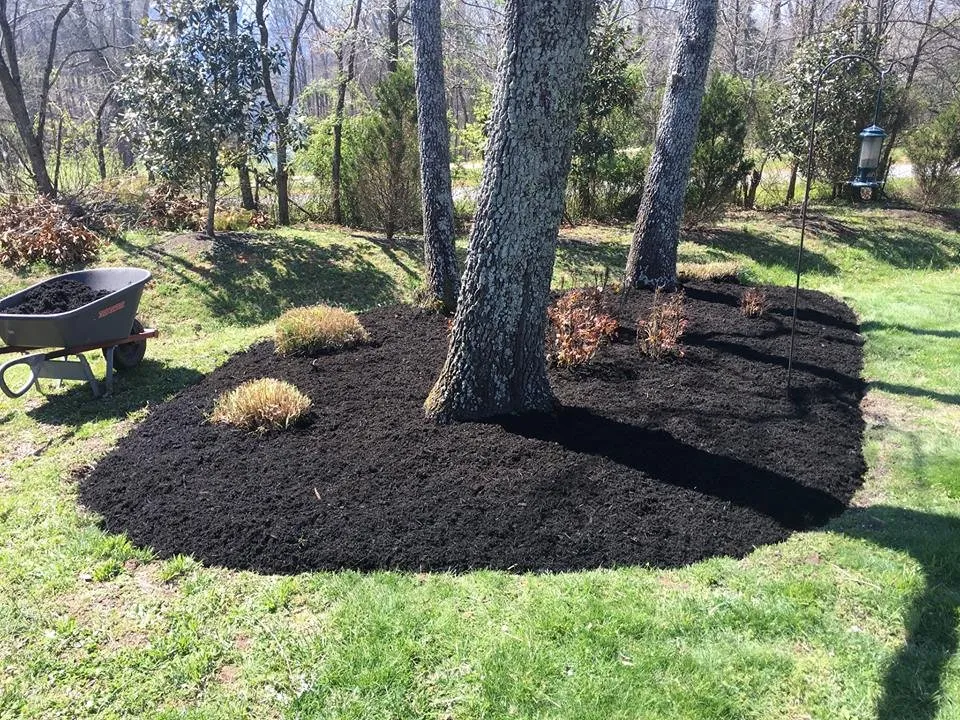 Reliable garden landscaping near you in White House, TN by Volunteer Lawncare