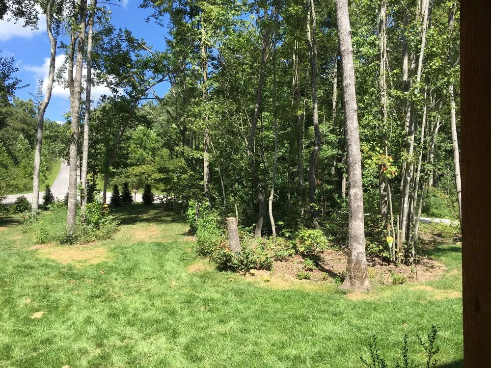 Trusted lawn care service experts serving Crossville, TN - Volunteer Tree