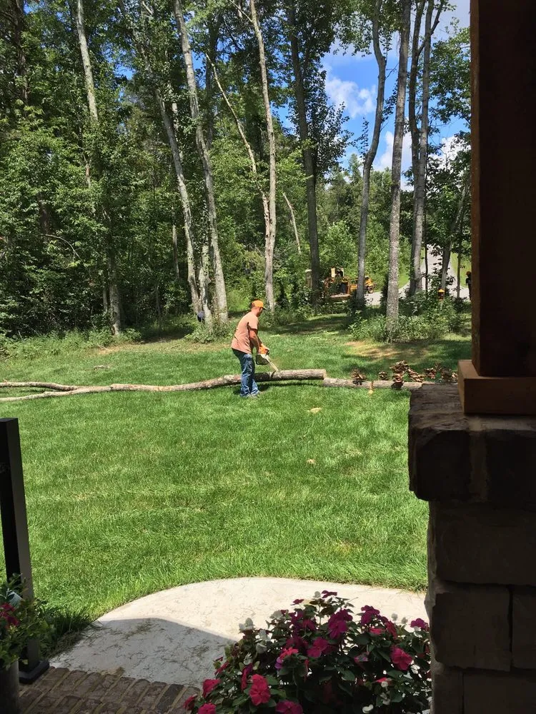 Local lawn mowing service experts serving Crossville, TN - Volunteer Tree